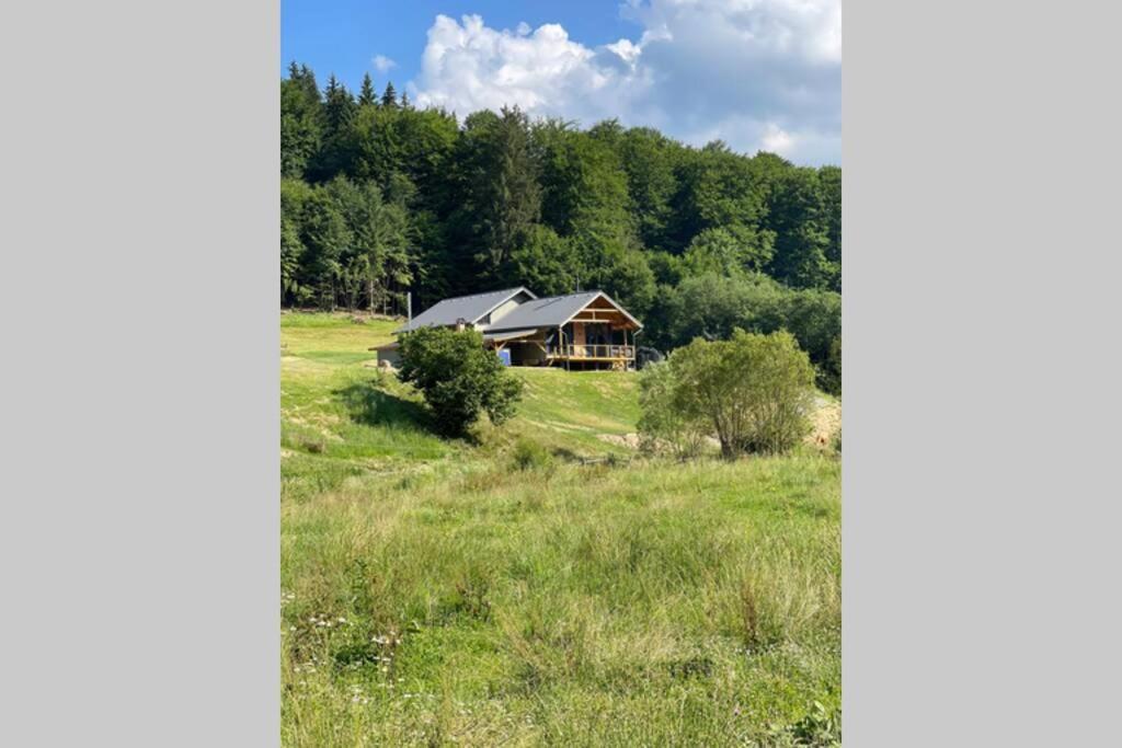 Valley House Cabana Cu Priveliste De Vis Sita Buzăului Esterno foto