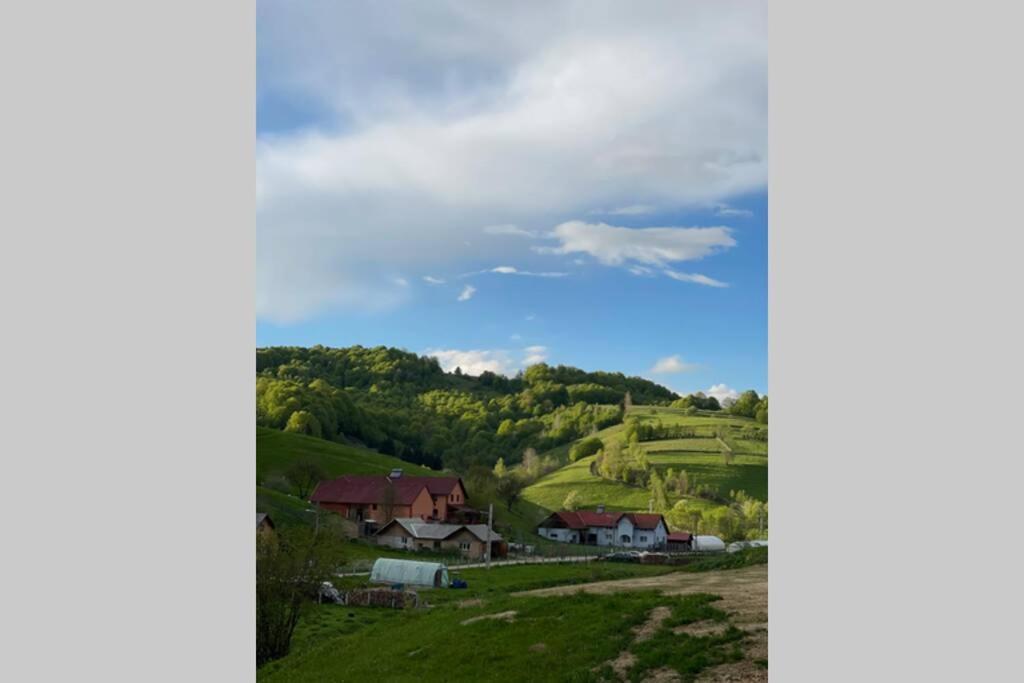 Valley House Cabana Cu Priveliste De Vis Sita Buzăului Esterno foto