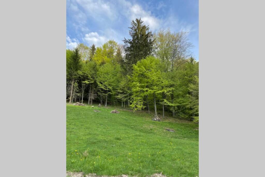 Valley House Cabana Cu Priveliste De Vis Sita Buzăului Esterno foto
