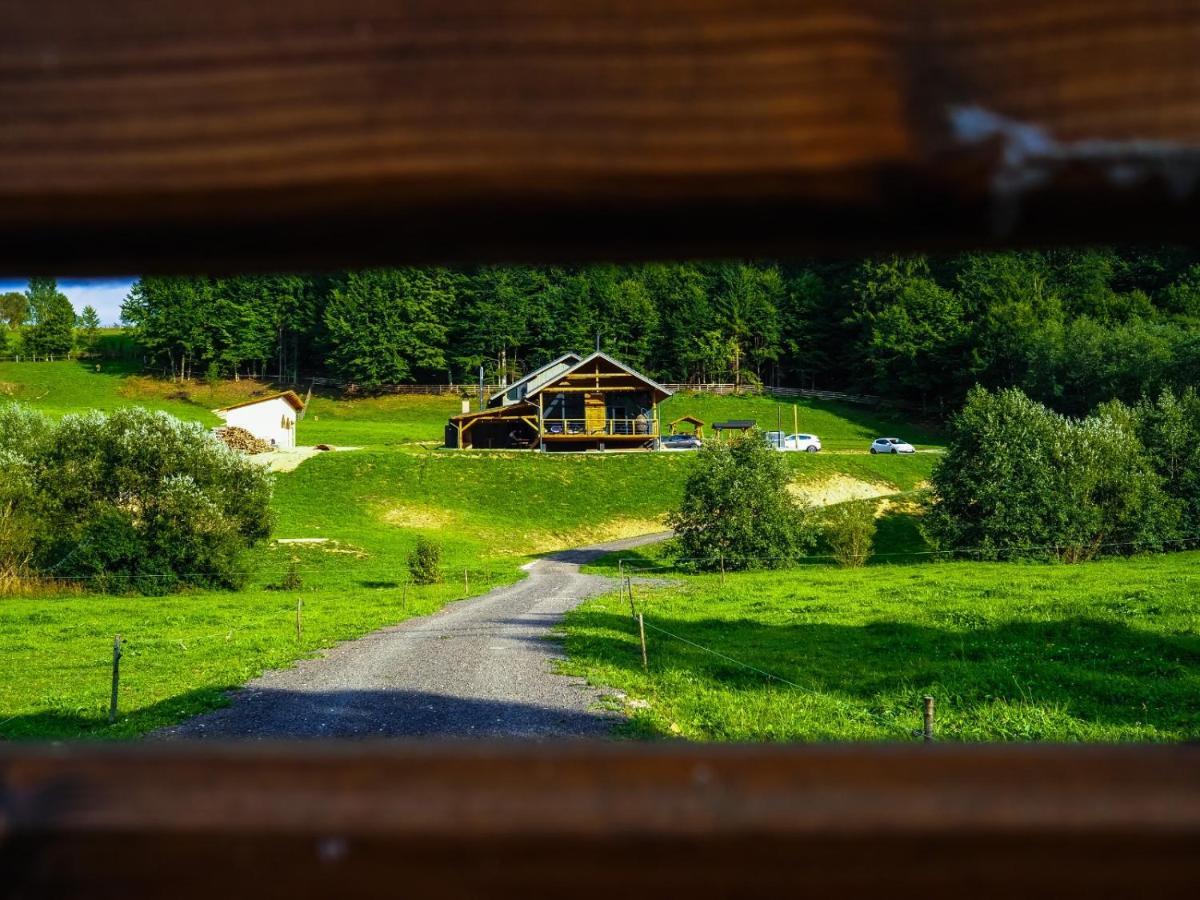 Valley House Cabana Cu Priveliste De Vis Sita Buzăului Esterno foto